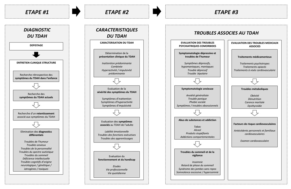 TDAH à l'âge adulte (@TdahAgeAdulte) / X