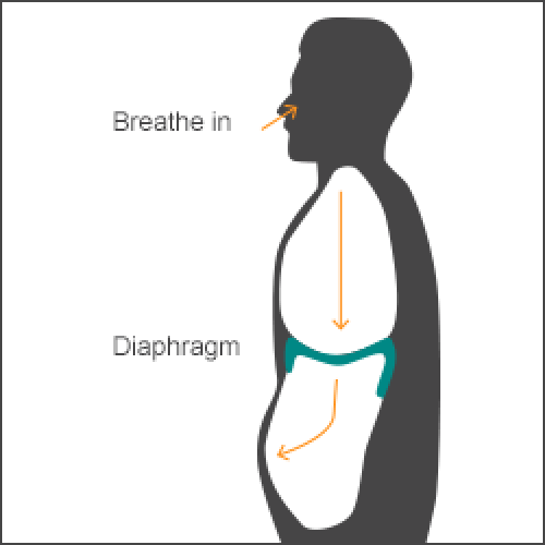 Механизм диафрагмального дыхания. Дышать диафрагмой. Методика дыхания животом. Живот на вдохе надувается.