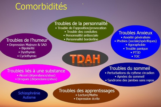 Les Adultes de Demain  La posture de l'adulte - Pause éducative